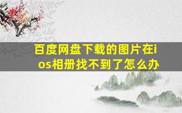 百度网盘下载的图片在ios相册找不到了怎么办