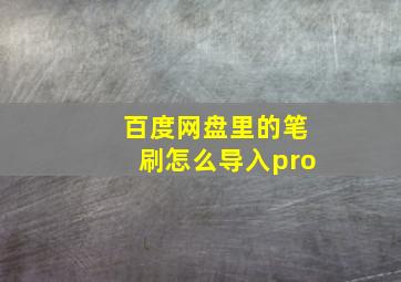 百度网盘里的笔刷怎么导入pro