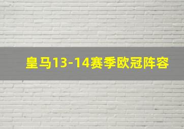 皇马13-14赛季欧冠阵容