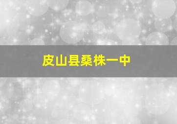 皮山县桑株一中