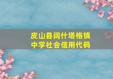 皮山县阔什塔格镇中学社会信用代码