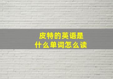 皮特的英语是什么单词怎么读