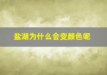 盐湖为什么会变颜色呢