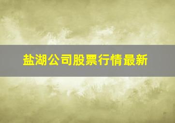 盐湖公司股票行情最新