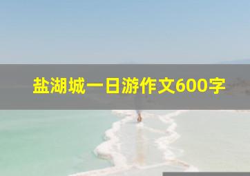 盐湖城一日游作文600字