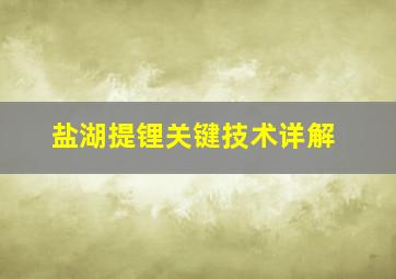 盐湖提锂关键技术详解