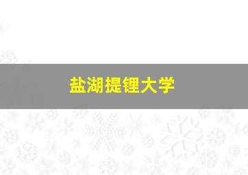 盐湖提锂大学