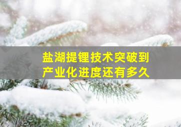 盐湖提锂技术突破到产业化进度还有多久