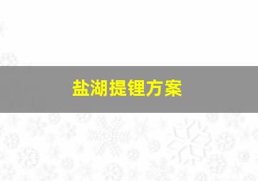 盐湖提锂方案