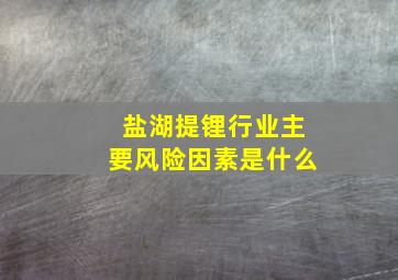 盐湖提锂行业主要风险因素是什么