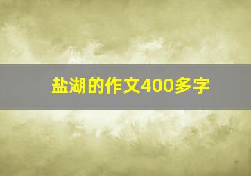 盐湖的作文400多字