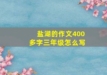 盐湖的作文400多字三年级怎么写