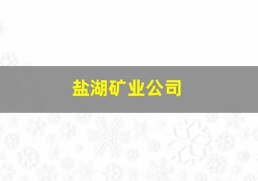 盐湖矿业公司