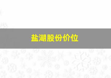 盐湖股份价位