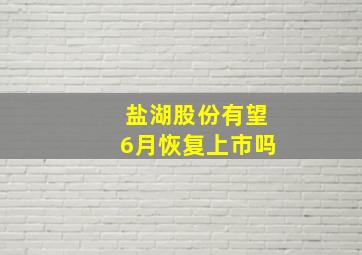 盐湖股份有望6月恢复上市吗