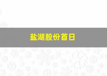 盐湖股份首日