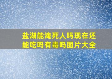 盐湖能淹死人吗现在还能吃吗有毒吗图片大全