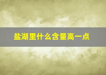 盐湖里什么含量高一点