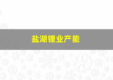 盐湖锂业产能