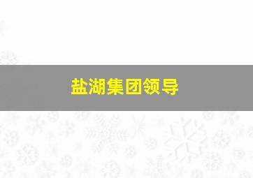 盐湖集团领导