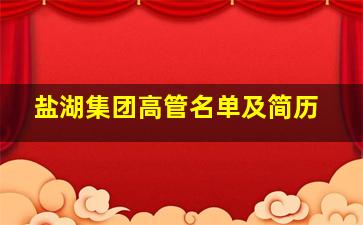 盐湖集团高管名单及简历