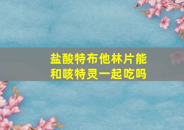 盐酸特布他林片能和咳特灵一起吃吗