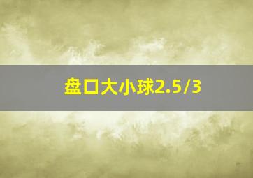 盘口大小球2.5/3