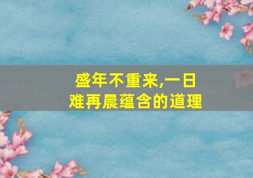 盛年不重来,一日难再晨蕴含的道理