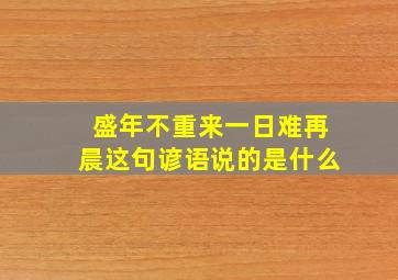 盛年不重来一日难再晨这句谚语说的是什么