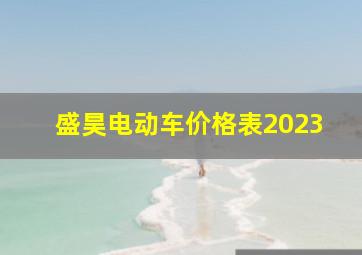 盛昊电动车价格表2023