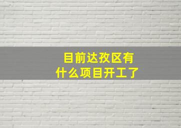 目前达孜区有什么项目开工了