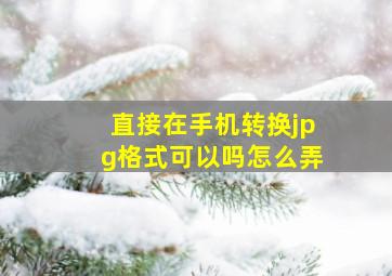 直接在手机转换jpg格式可以吗怎么弄