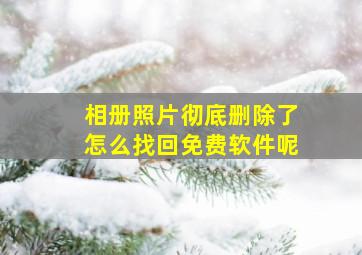 相册照片彻底删除了怎么找回免费软件呢