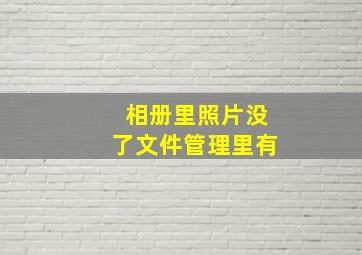 相册里照片没了文件管理里有