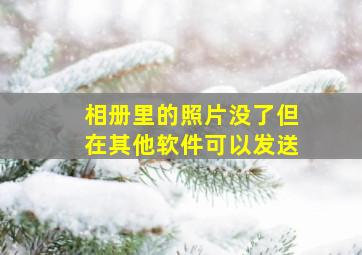 相册里的照片没了但在其他软件可以发送