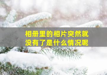 相册里的相片突然就没有了是什么情况呢