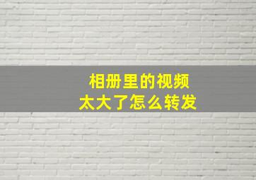 相册里的视频太大了怎么转发