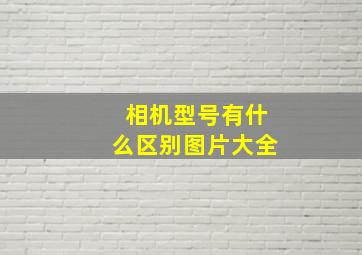 相机型号有什么区别图片大全