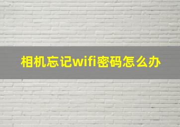 相机忘记wifi密码怎么办