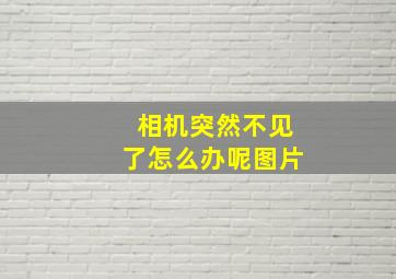 相机突然不见了怎么办呢图片