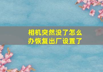 相机突然没了怎么办恢复出厂设置了