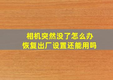 相机突然没了怎么办恢复出厂设置还能用吗