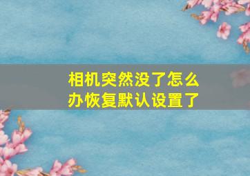 相机突然没了怎么办恢复默认设置了