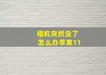 相机突然没了怎么办苹果11