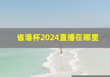 省港杯2024直播在哪里