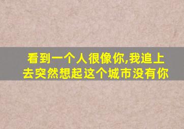 看到一个人很像你,我追上去突然想起这个城市没有你