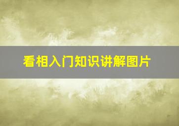 看相入门知识讲解图片