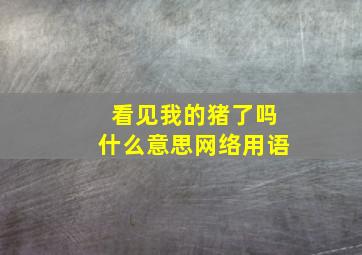 看见我的猪了吗什么意思网络用语