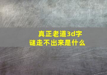 真正老道3d字谜走不出来是什么