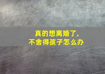 真的想离婚了,不舍得孩子怎么办